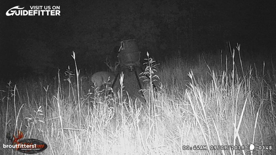 Enlarged photo by BR Outfitters