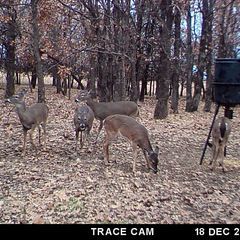 Photo by BR Outfitters