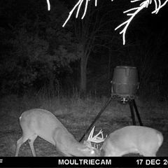 Photo by BR Outfitters