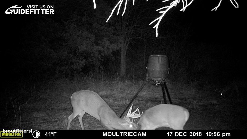 Enlarged photo by BR Outfitters