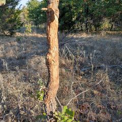 Photo by BR Outfitters