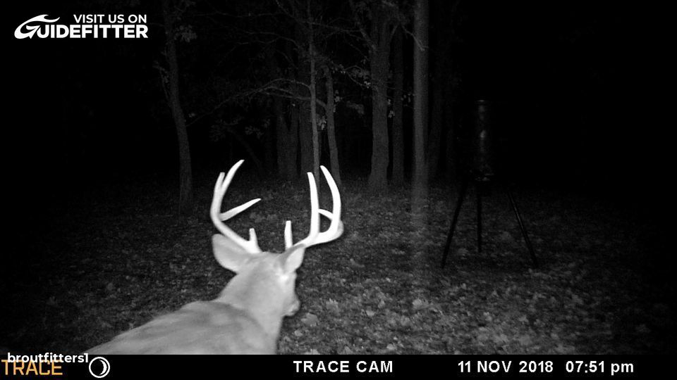 Enlarged photo by BR Outfitters