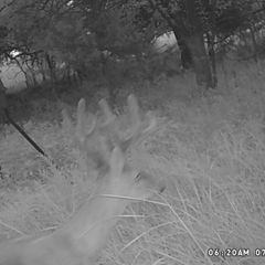 Photo by BR Outfitters