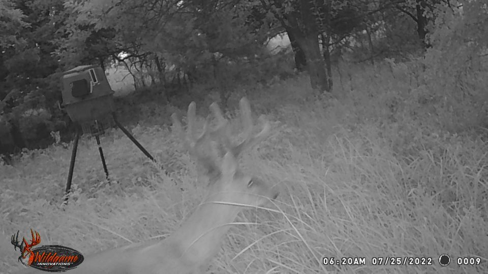 Enlarged photo by BR Outfitters