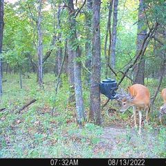 Photo by BR Outfitters