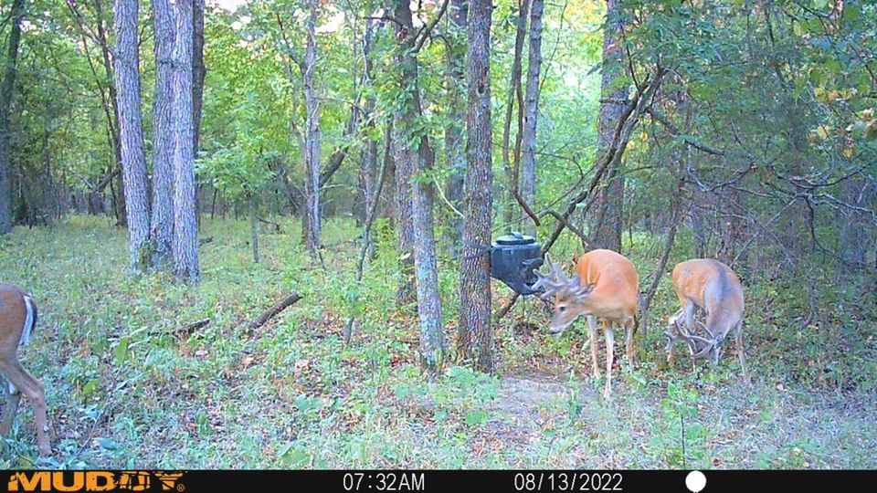 Enlarged photo by BR Outfitters