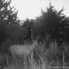 Photo by BR Outfitters