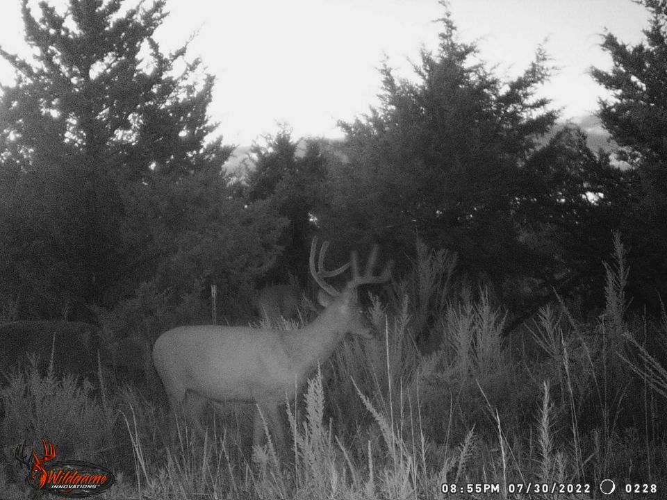 Enlarged photo by BR Outfitters