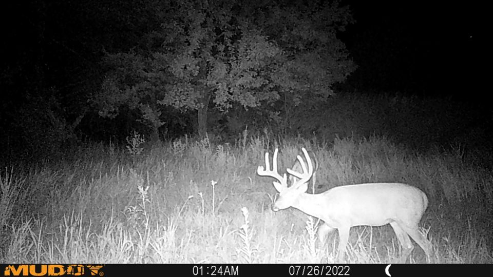 Enlarged photo by BR Outfitters