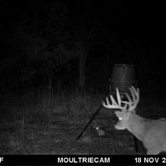 Photo by BR Outfitters