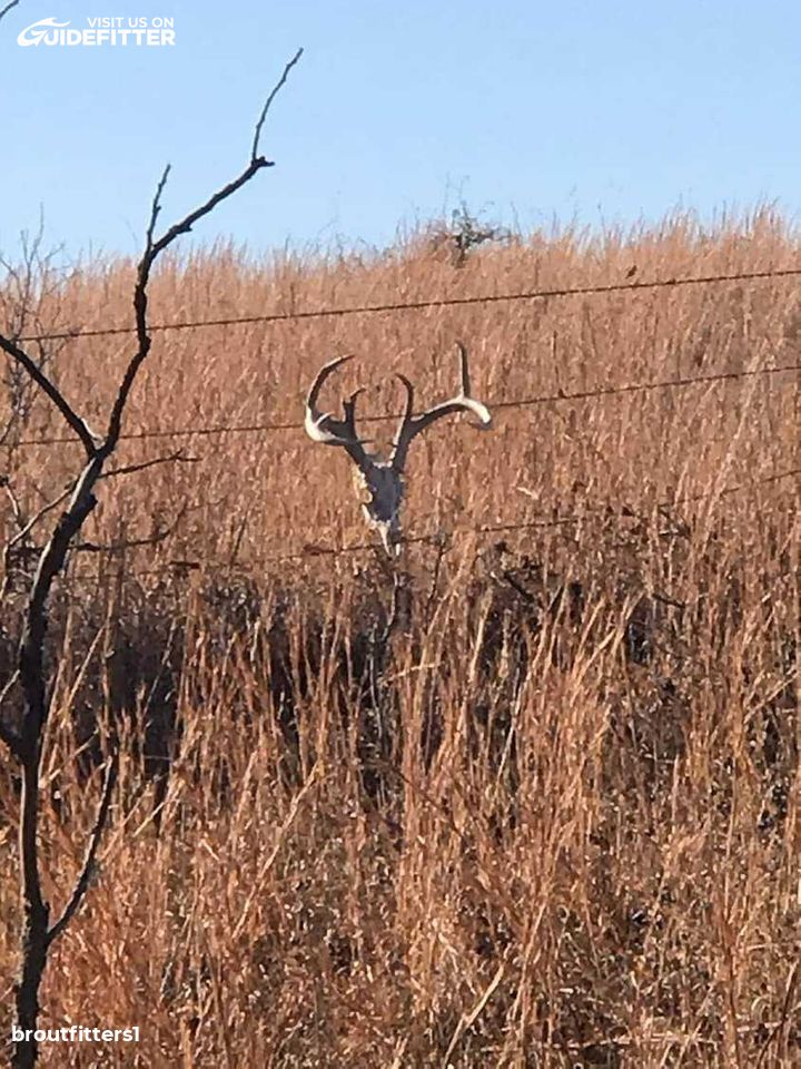 Enlarged photo by BR Outfitters