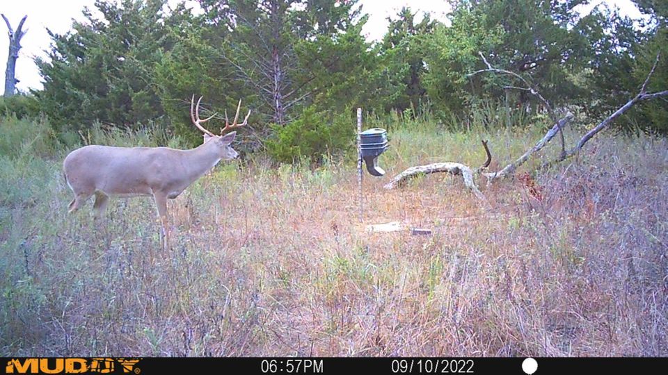 Enlarged photo by BR Outfitters