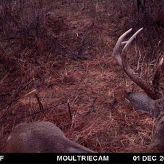 Photo by BR Outfitters