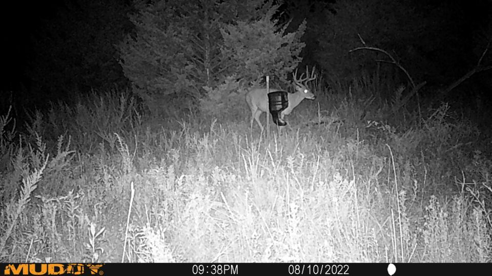 Enlarged photo by BR Outfitters