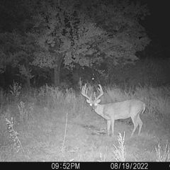 Photo by BR Outfitters