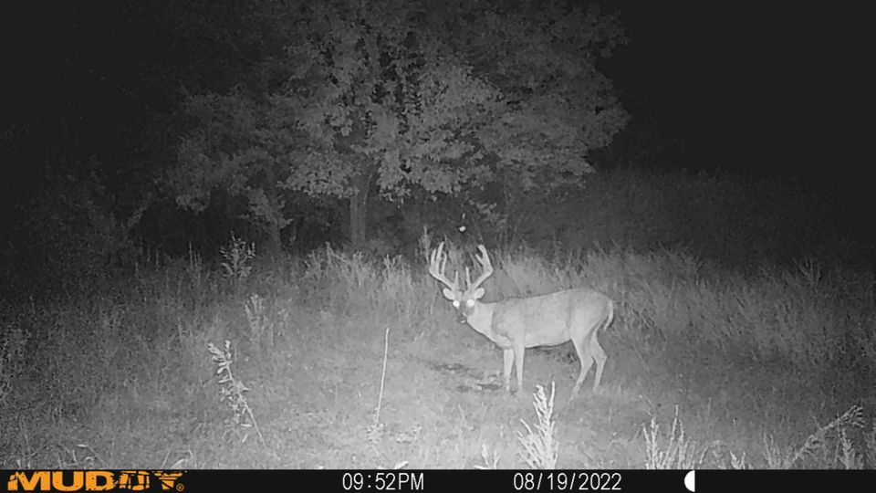 Enlarged photo by BR Outfitters