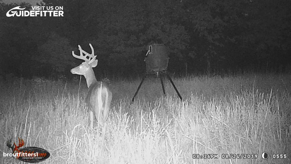 Enlarged photo by BR Outfitters