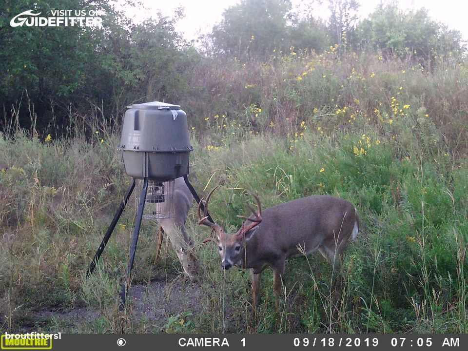 Enlarged photo by BR Outfitters