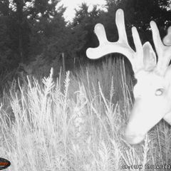 Photo by BR Outfitters