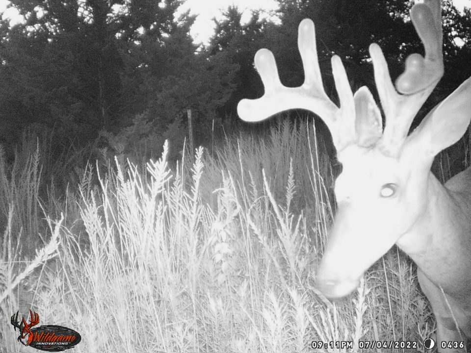 Enlarged photo by BR Outfitters