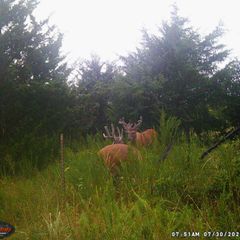 Photo by BR Outfitters