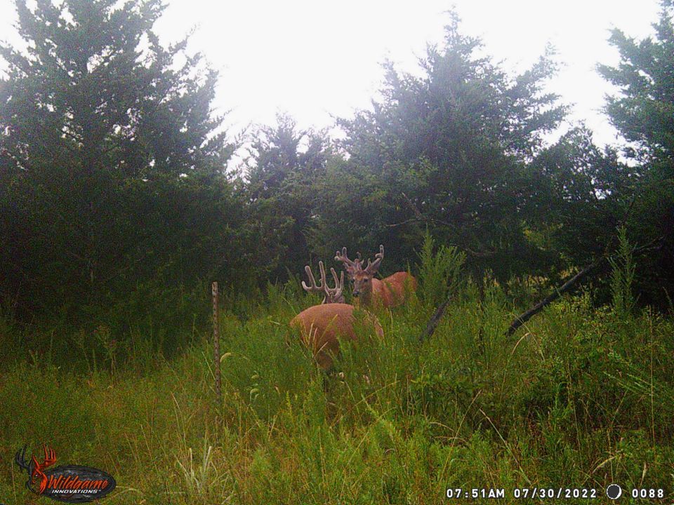 Enlarged photo by BR Outfitters