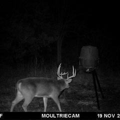 Photo by BR Outfitters