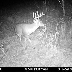 Photo by BR Outfitters