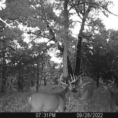 Photo by BR Outfitters