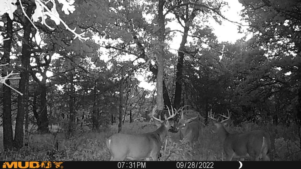 Enlarged photo by BR Outfitters