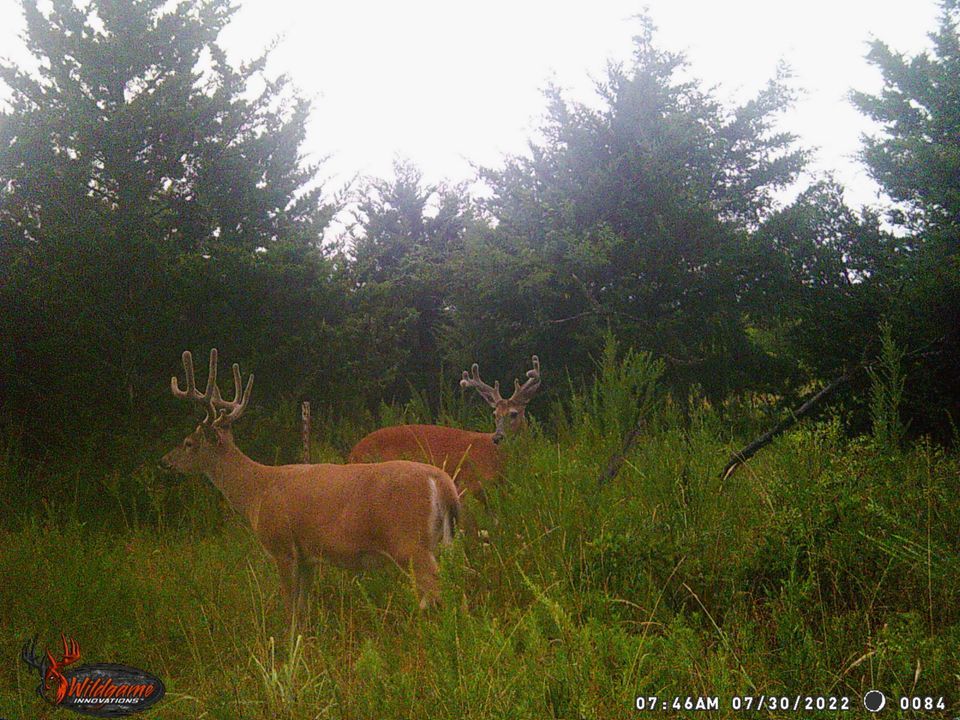 Enlarged photo by BR Outfitters