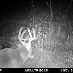 Photo by BR Outfitters