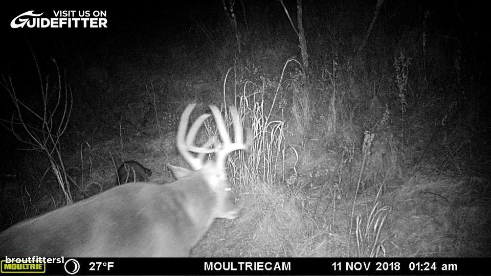 Enlarged photo by BR Outfitters