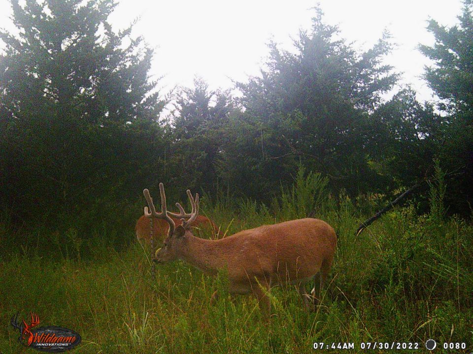 Enlarged photo by BR Outfitters