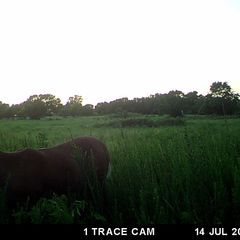 Photo by BR Outfitters