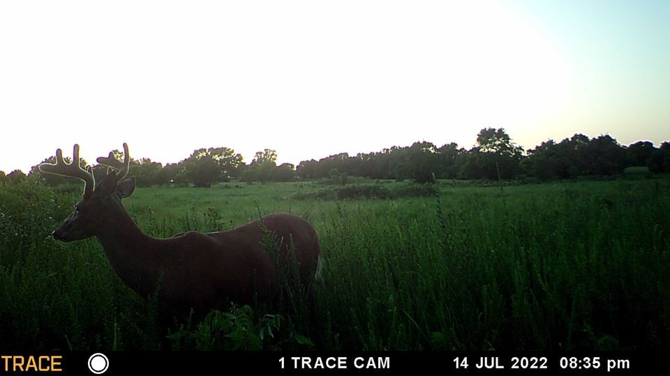 Enlarged photo by BR Outfitters