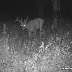 Photo by BR Outfitters