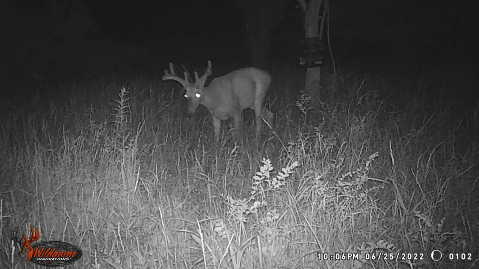 Enlarged photo by BR Outfitters