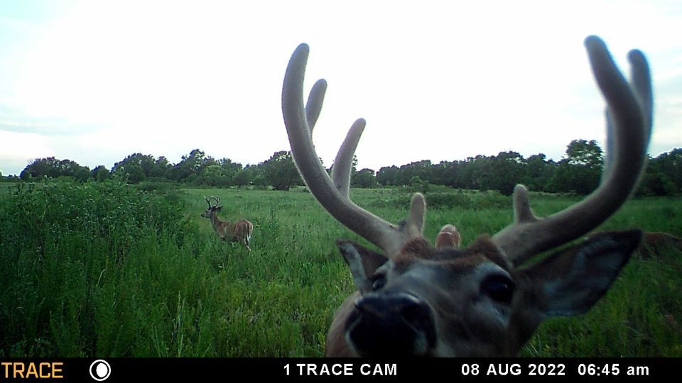 Enlarged photo by BR Outfitters