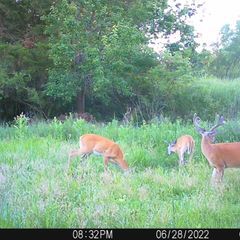 Photo by BR Outfitters