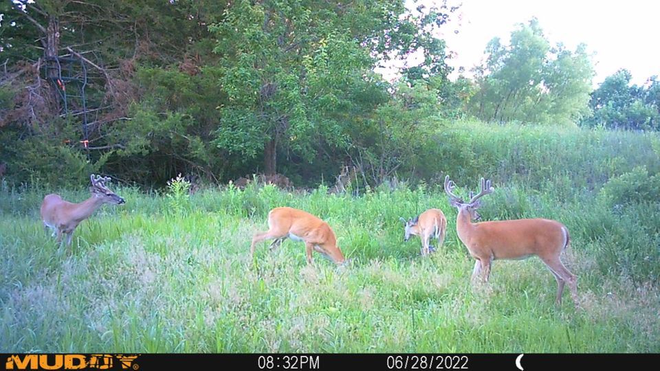 Enlarged photo by BR Outfitters