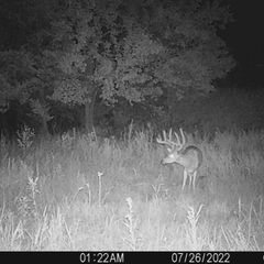 Photo by BR Outfitters