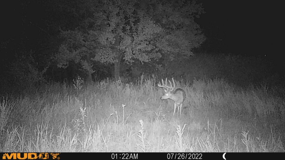 Enlarged photo by BR Outfitters