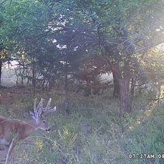 Photo by BR Outfitters