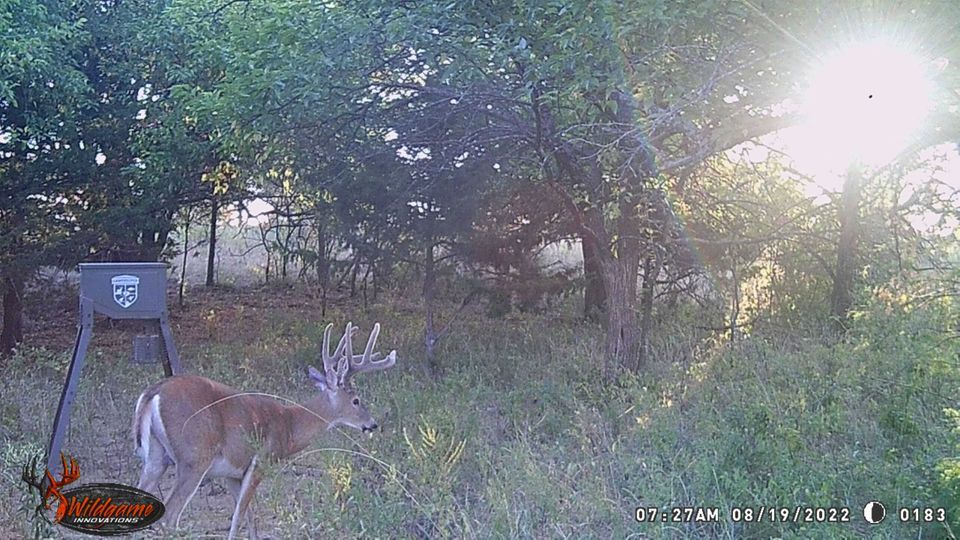 Enlarged photo by BR Outfitters