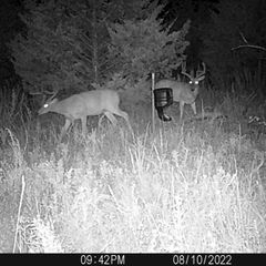 Photo by BR Outfitters