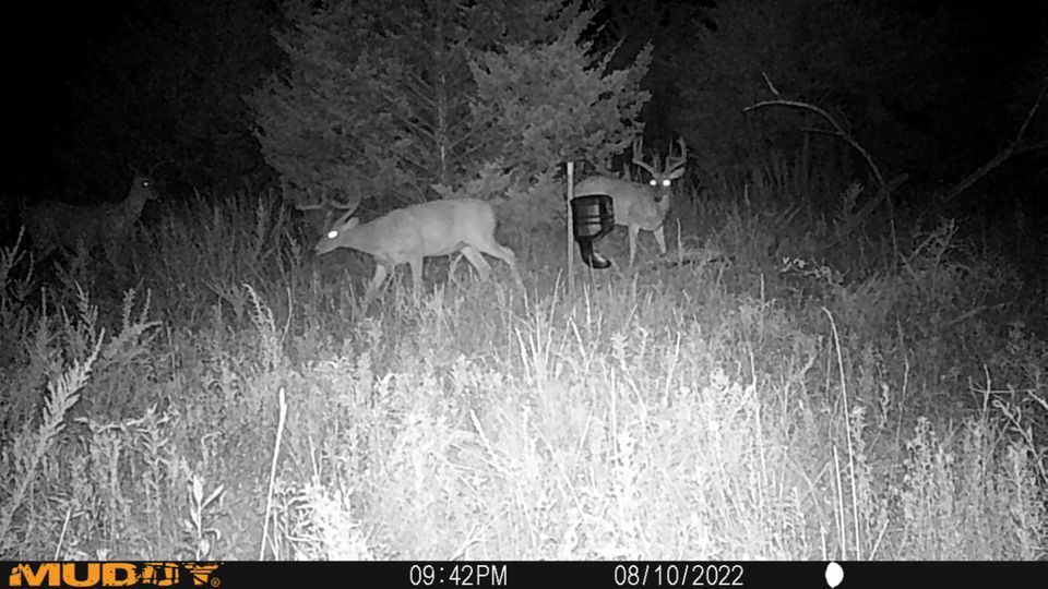 Enlarged photo by BR Outfitters