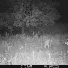 Photo by BR Outfitters