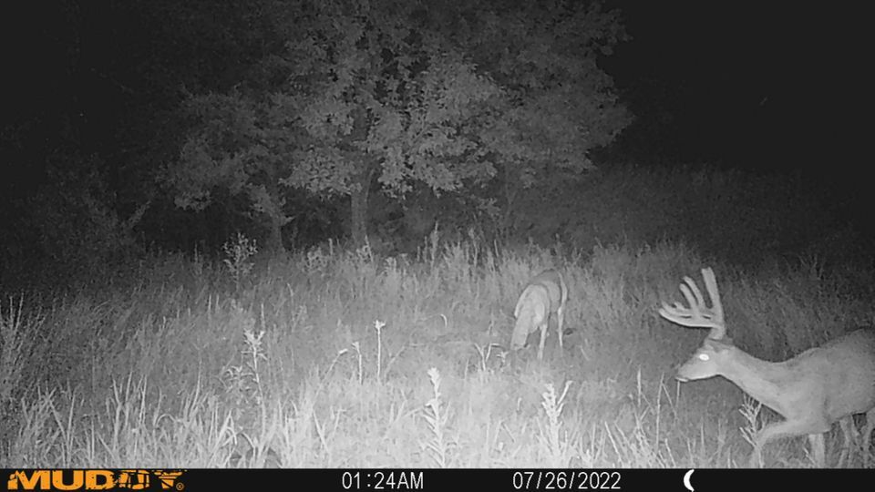 Enlarged photo by BR Outfitters