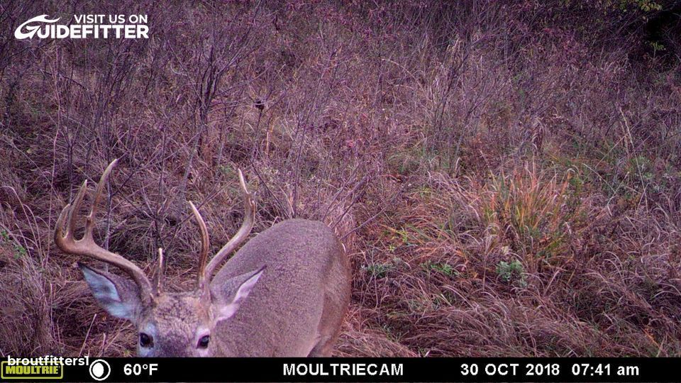 Enlarged photo by BR Outfitters